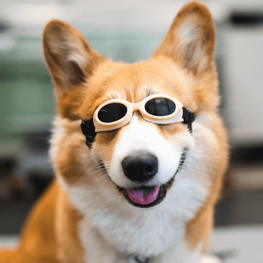 Laser Therapy